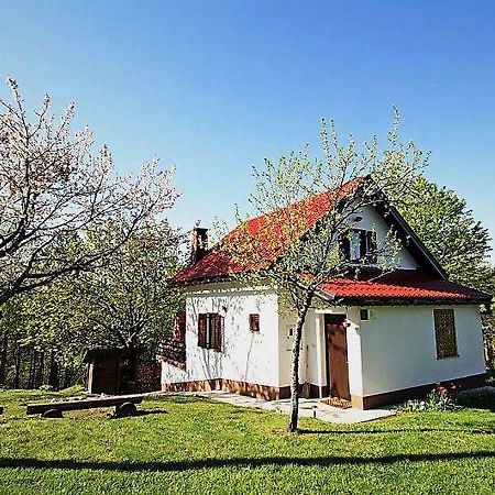 Holiday Home Coprnicka Hisa Skrad Екстер'єр фото